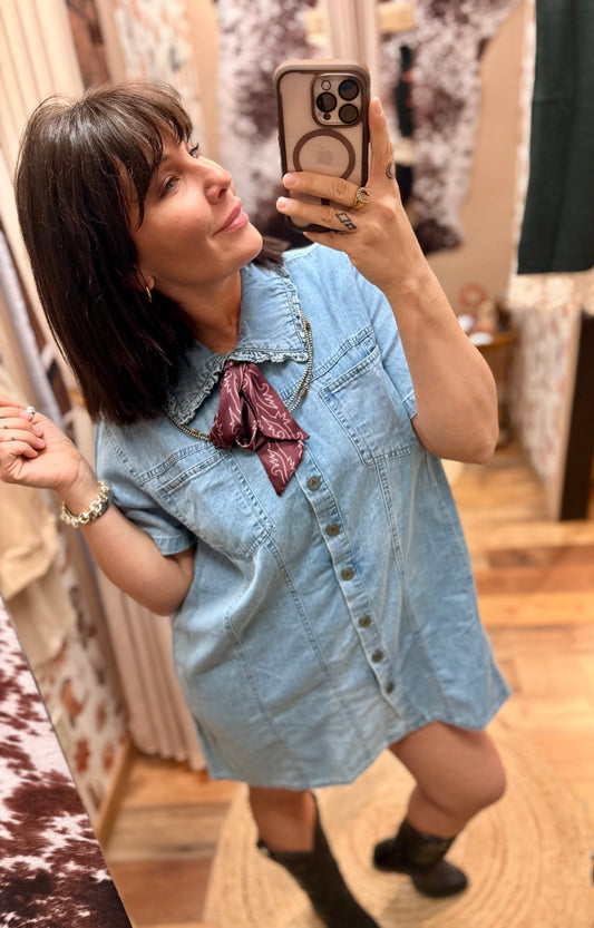 High Plains Denim Dress