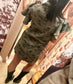Rugged Charm Dress