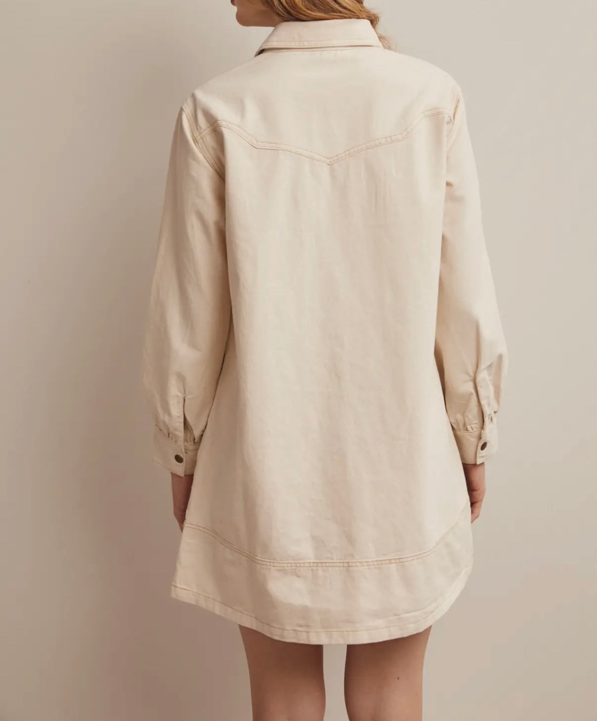 Wild Side Denim Dress