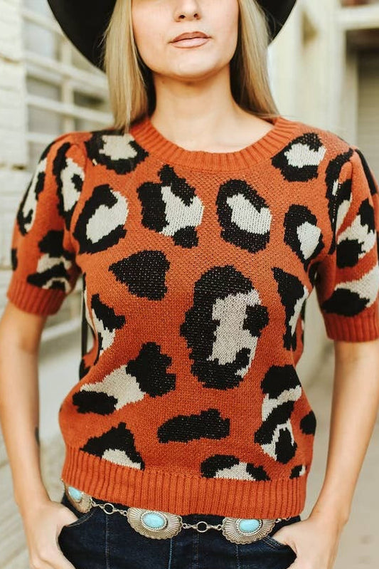 Untamed Knit