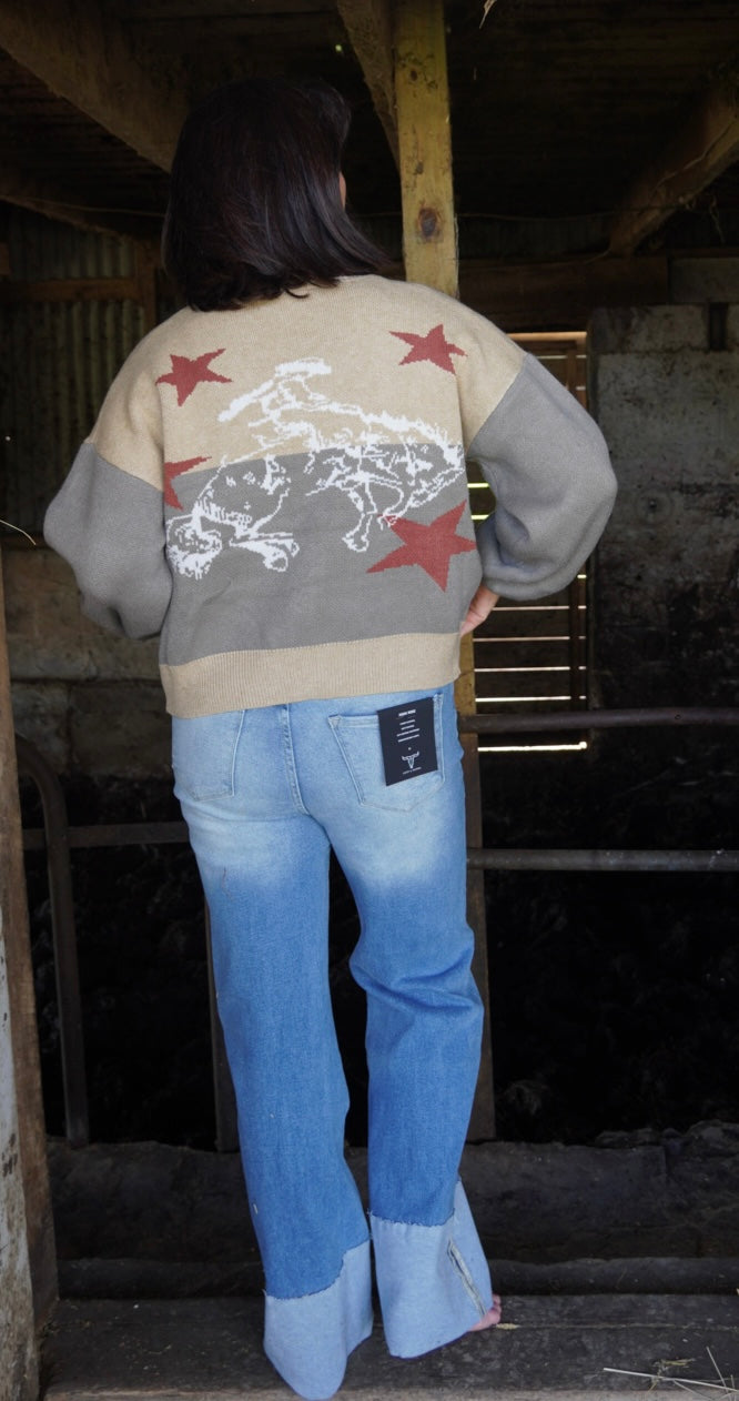 Western Horse Graphic Knit Cardigan
