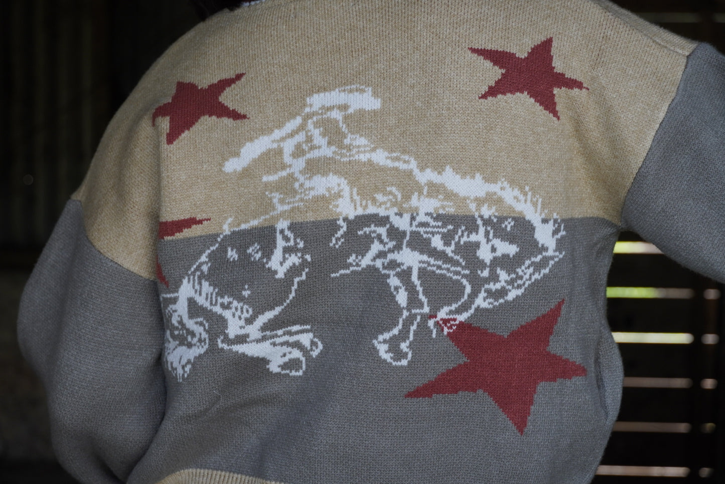 Western Horse Graphic Knit Cardigan